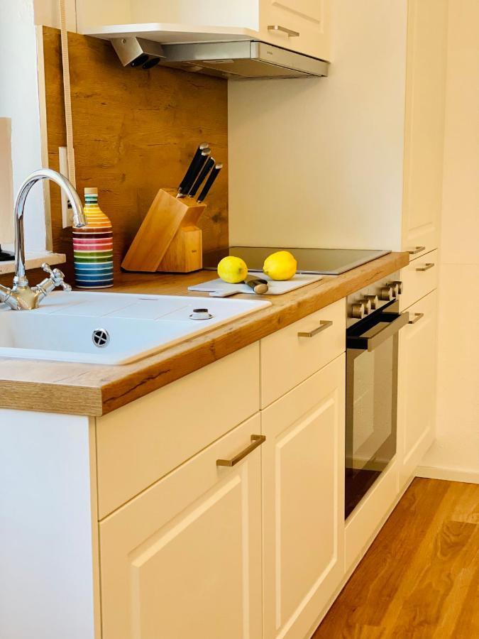 Ferien-Apartment Silberweide Mit Privatstrand フリードリヒスハーフェン エクステリア 写真